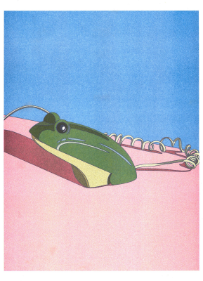 Kiblind - Ana Popescu - Crusader Frog Phone A3