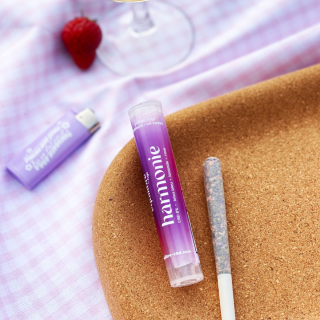 Équilibre - CBD Preroll Joint Harmony 