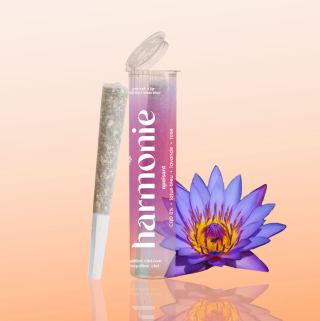 Équilibre - CBD Preroll Joint Harmony 