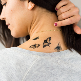 Tattly Temporary Tattoos - Butterflies