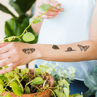 Tattly Temporary Tattoos - Insects Sheet 