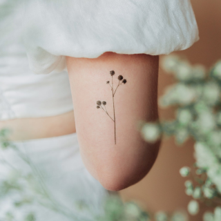 Tattly Temporary Tattoos - Conifers Sheet 