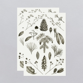 Tattly Temporary Tattoos - Conifers Sheet 