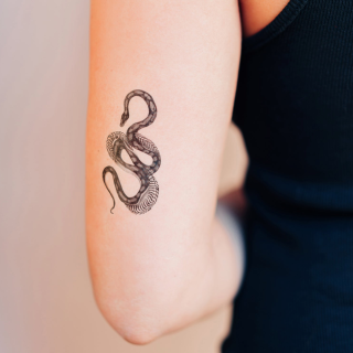Tattly Temporary Tattoos - Unfurling Sheet 
