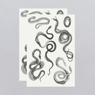 Tattly Temporary Tattoos - Unfurling Sheet 