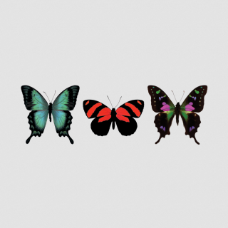 Tattly Temporary Tattoos - Butterfly Trio