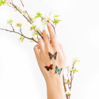 Tattly Temporary Tattoos - Butterfly Trio