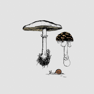 Tattly Temporary Tattoos - Fungi Garden Trio