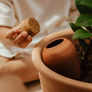 Pepin - Hydrating Olla - Terracotta