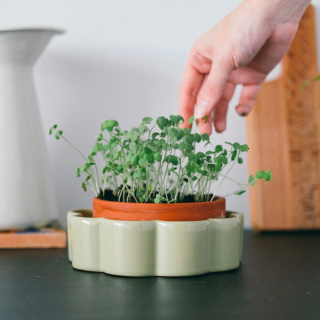 Pepin - Self-Watering Pot George (Kitchen) - Sage Green