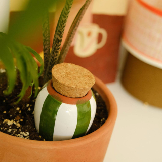 Pepin - Hydrating Olla - Green and Ivory Stripes