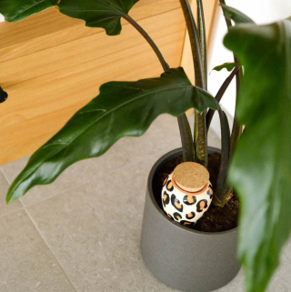 Pepin - Hydrating Olla - Leopard