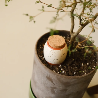 Pepin - Trio Mini Ollas