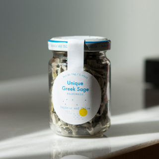 Daphnis and Chloe Unique Greek Sage Jar