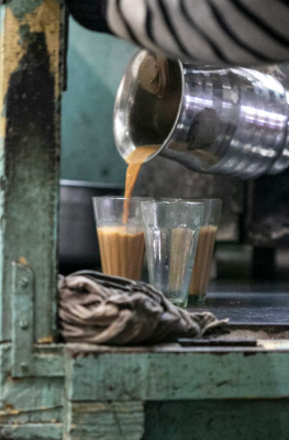 Épice Shira: Chaï du Rajasthan (Chai from Rajasthan) Organic