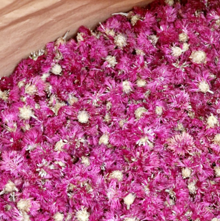 Raselli Kornblume Rosa Essbare Blüten / Pink Cornflower Edible Blossoms