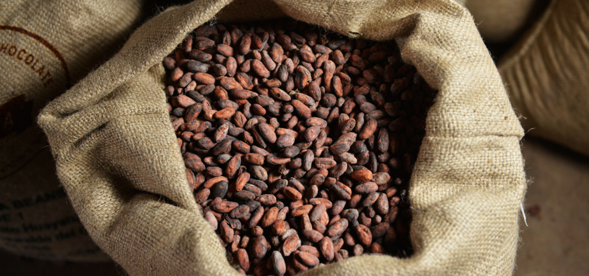 Chocolatisimo Chocolatisimo
