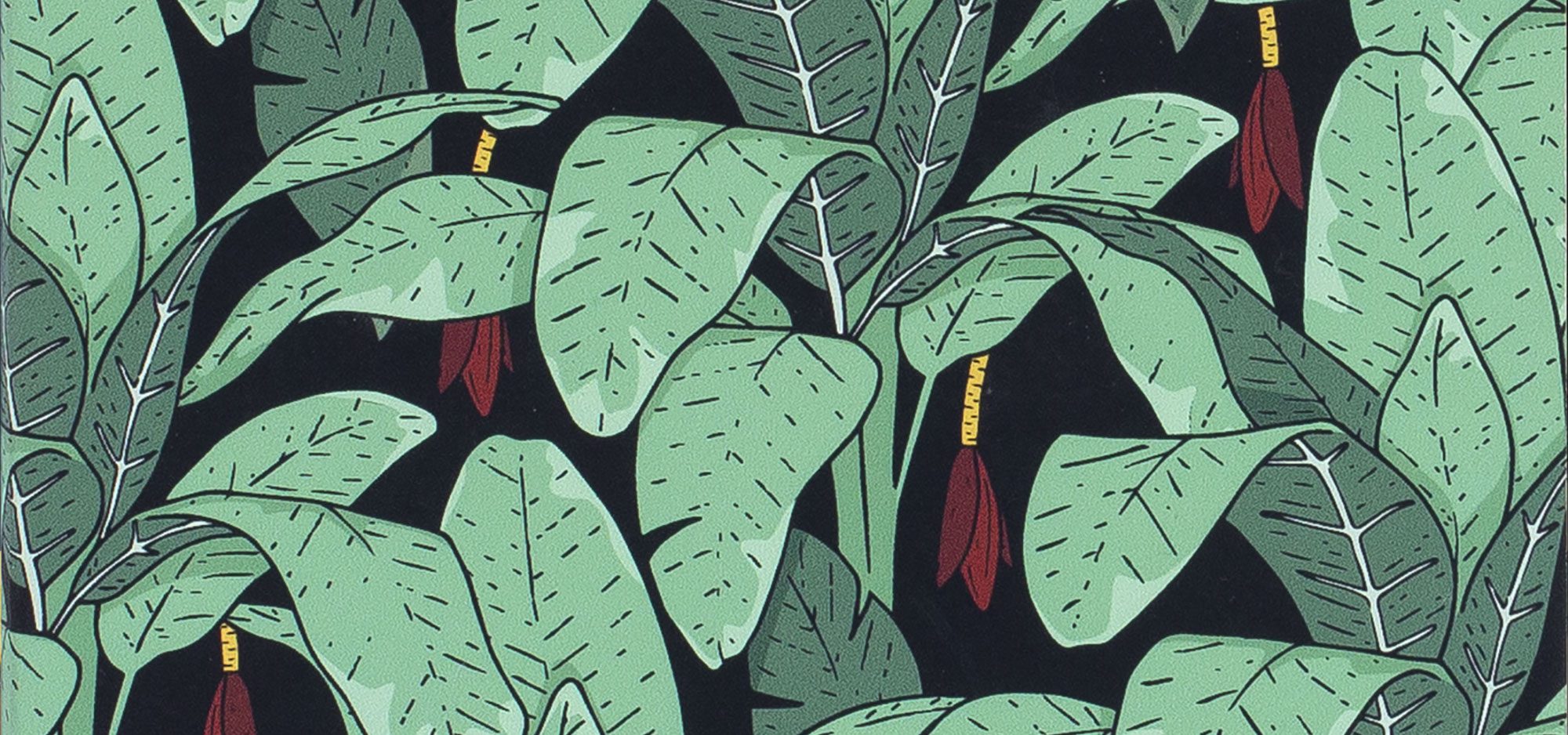 Jungle Jungle