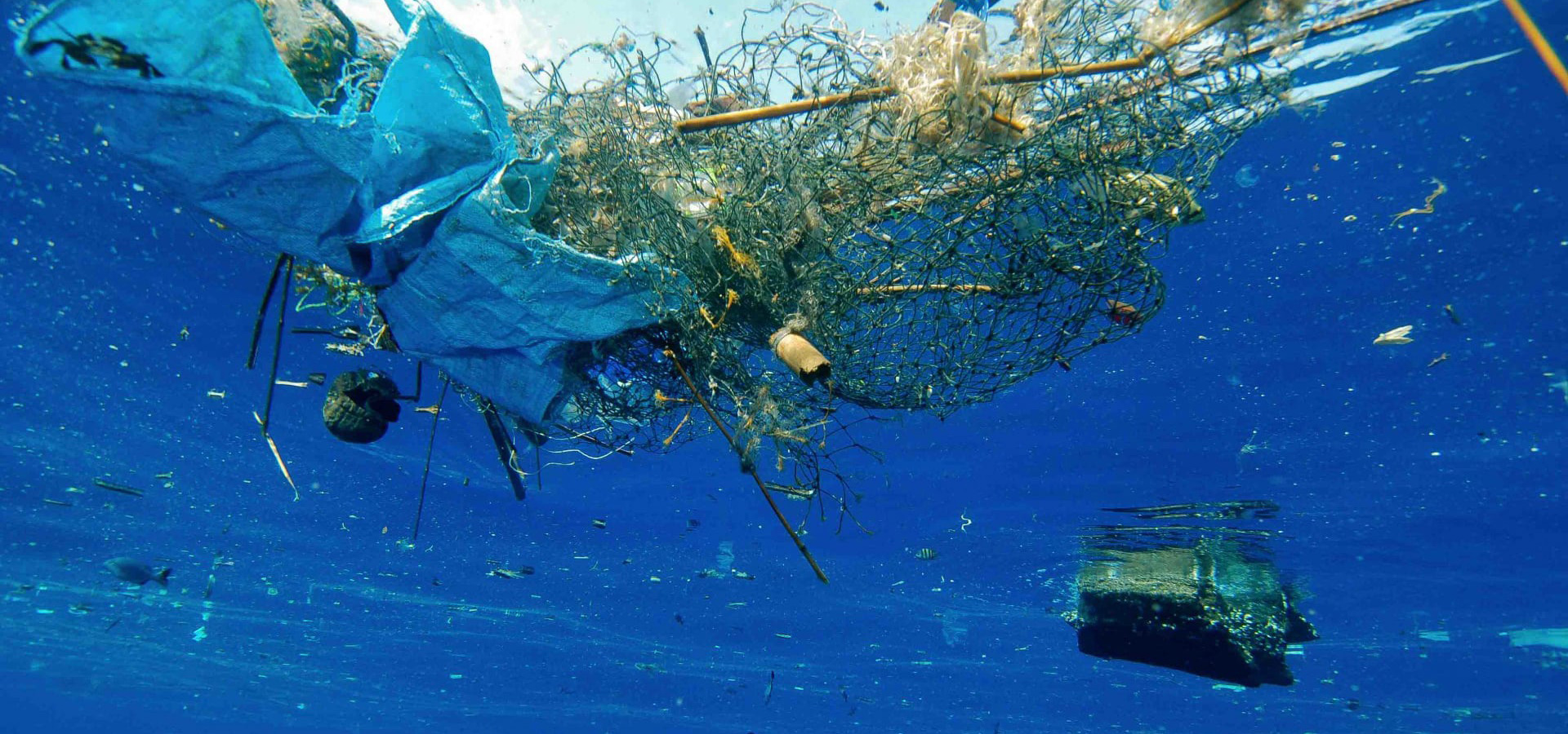 Say no to plastic Say no to plastic