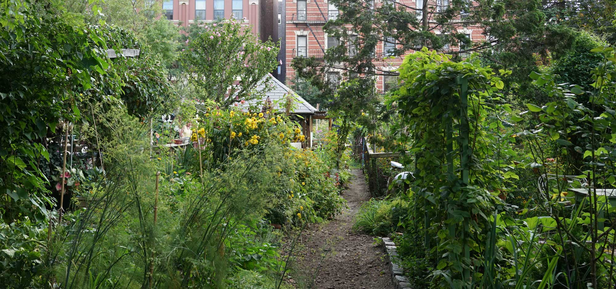 Urbangardening Urbangardening